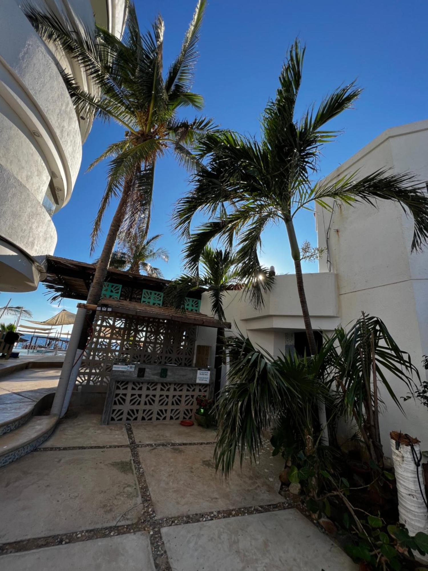 Condominio Agave Del Mar Coyuca de Benitez Exterior photo